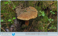 0_12af84_3a75f264_orig.png
