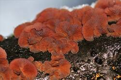 0_1548ee_ba559e57_orig.jpg