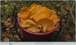 0_12df5e_5a025ad2_orig.png