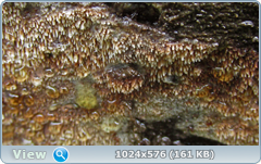 0_12dd49_cdf9cfba_orig.png