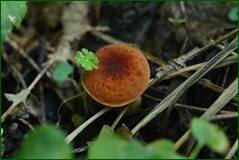 0_ff860_60d7eb93_orig.jpg