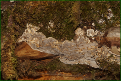 0_1062d8_805b8280_orig.png