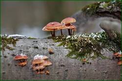 0_155637_a556d7b_orig.jpg