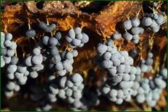 0_102a25_b8168392_orig.jpg