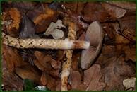 0_ef930_ef792ba4_orig.jpg