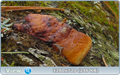 0_10279d_f88d1525_orig.png