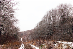 0_104d4b_966fd419_orig.png