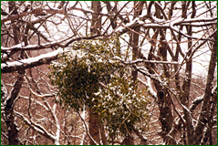 0_104d70_521ebd7b_orig.png