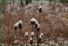 0_104d72_209c647b_orig.png
