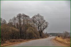 0_155357_94993155_orig.jpg