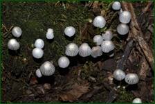 0_fe092_629ba587_orig.jpg