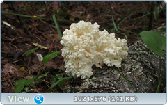 0_12ba35_1a2b10a2_orig.png