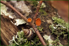 0_104f55_7256315f_orig.png
