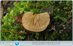 0_12afe0_7eb87875_orig.png