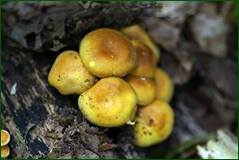 0_1018d8_e756558c_orig.jpg