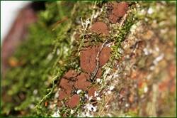 0_15779b_f7862bc1_orig.jpg