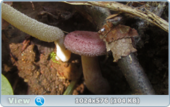 0_12c659_ca8fee01_orig.png