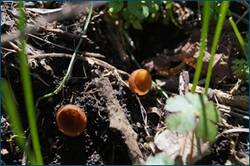 0_ccaca_636a04ac_orig.jpg
