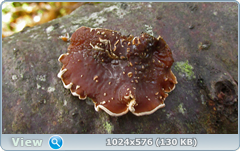 0_12dfa9_992d5239_orig.png