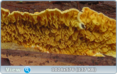 0_12dfd3_3a8d66f0_orig.png