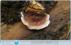 0_12dfe5_122fa90c_orig.png
