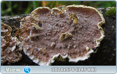 0_12dfed_2c9a0aeb_orig.png