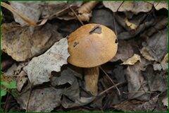 0_c2919_b3c0c83f_orig.jpg