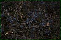 0_c1a2f_89f54a2f_orig.jpg