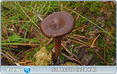 0_f6db8_eb89f93e_orig.png