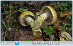 0_ef34d_3eb2aebf_orig.png