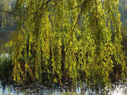 0_c3670_2eb0f5de_M.jpg