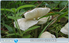 0_fbec5_fb988664_orig.png