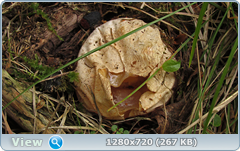 0_ef6c5_d0199f83_orig.png