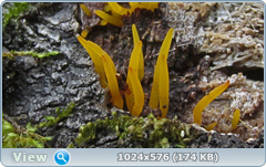0_12abbf_c7a83d46_orig.png