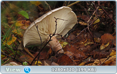 0_f27e2_f8b0565f_orig.png
