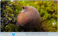 0_1150a6_d8133e38_orig.png