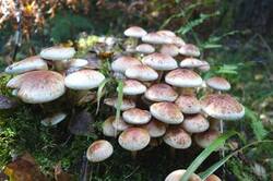 0_164acb_d807a300_M.jpg