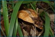 0_d237e_37796305_orig.jpg
