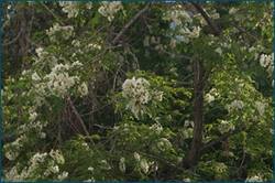 0_ce547_d5c61178_orig.jpg