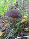 0_156696_232eab8b_S.jpg
