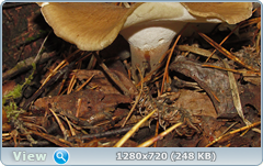 0_e90e8_845398c8_orig.png