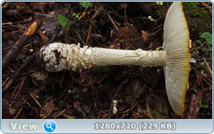 0_eb26f_f6dbf7a5_orig.png