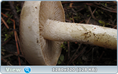 0_f2758_a5eac2ac_orig.png