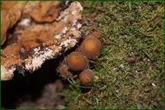 0_c2890_717f6f2f_orig.jpg
