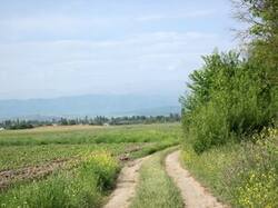 0_5149f_ab26d22a_M.jpg
