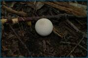 0_d0c57_5307f7c7_orig.jpg