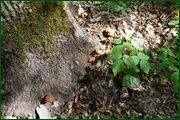 0_c12d7_dd7d0809_orig.jpg
