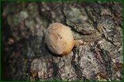 0_c12e3_52230691_orig.jpg
