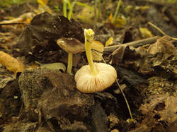 0_c21d0_62057f10_M.jpg