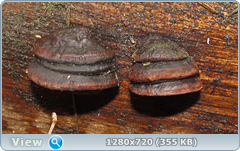 0_f6e6c_fc3f4250_orig.png